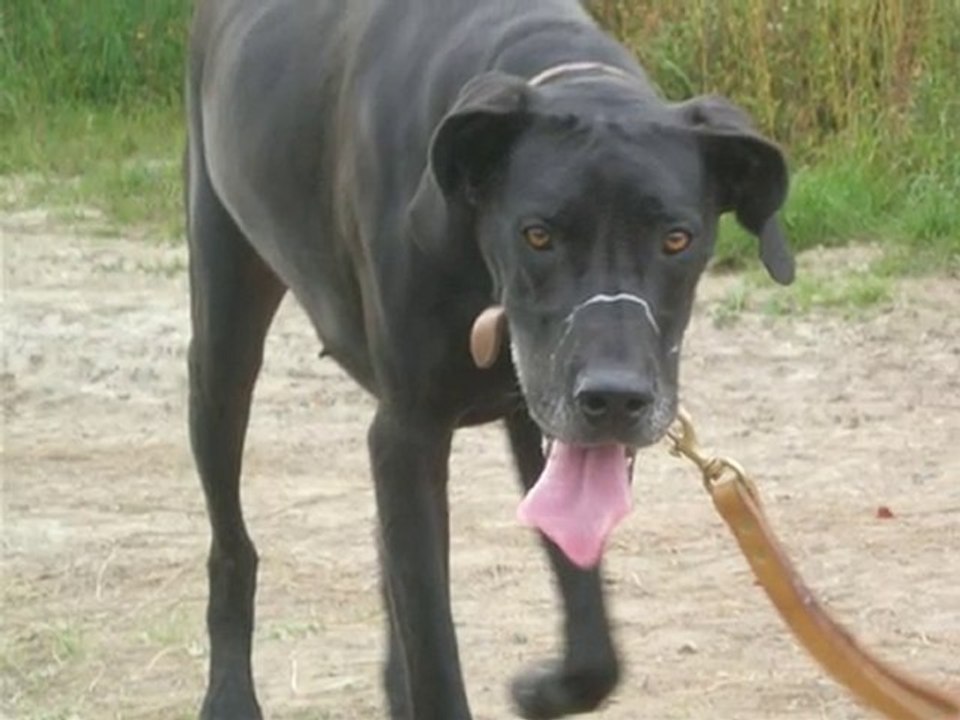 roxy_2
