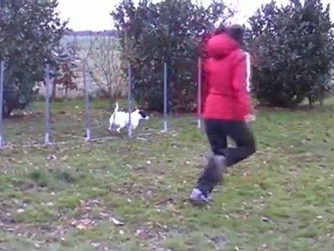 Eclipse Extérieur hanches