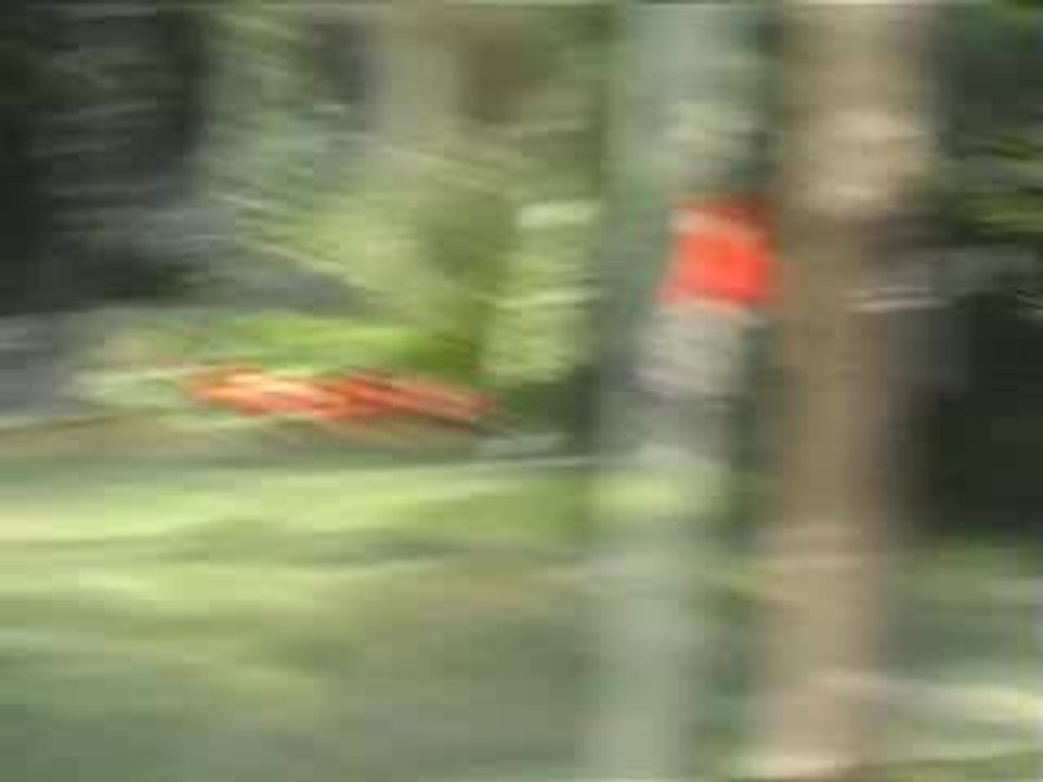 Black Spirit repet,sans Meyer