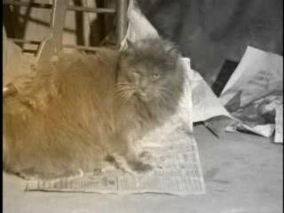 Phoebe Buffay - Smelly Cat