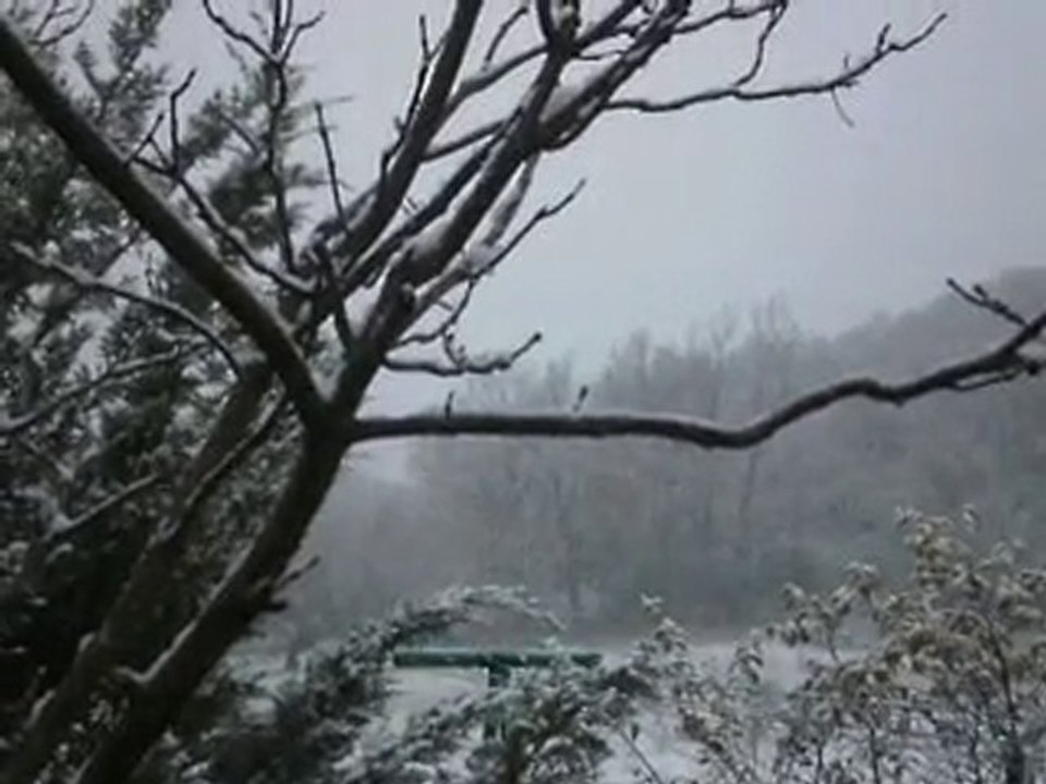 neige 25 novembre 2010