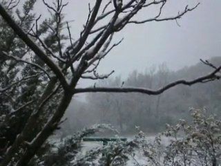 neige 25 novembre 2010