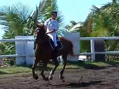 21.11.10 - CSO club EMR - prépa 60 - AngelineHérold