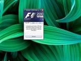 Formula F1 2010 Crack