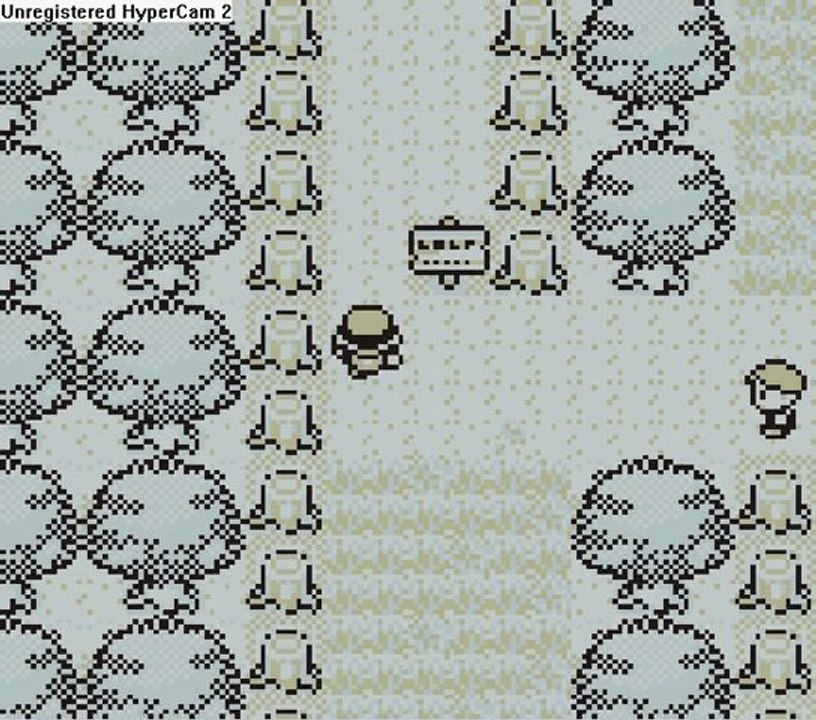 pokemon rouge 03 foret de jade + lvl up + aerene argenta 1/2