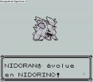 pokemon rouge 04 evolution du de  nidoran en nidorino