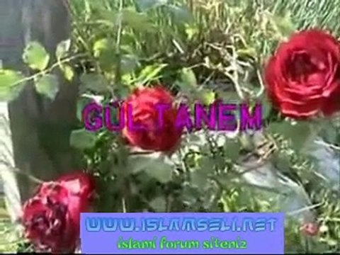 Hasan Dursun Gültanem ilahisini dinle izle | islamseli.net