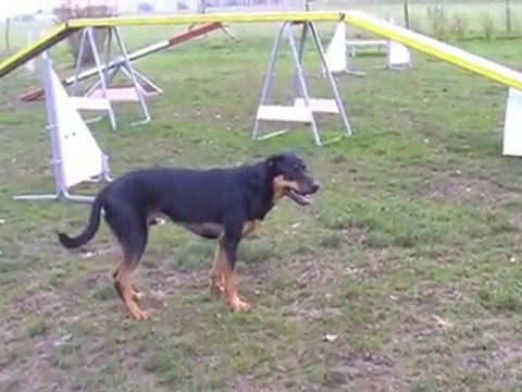 Sam extérieur Hanches