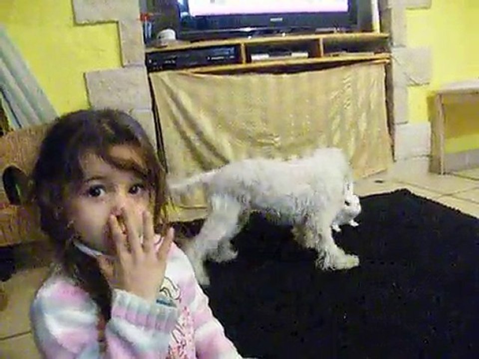 canaille et lapinne qui fond des cochonneries