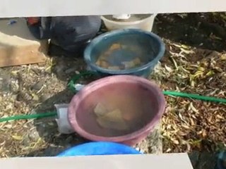 Taşköprü-Pompeiopolis / 2010 & Barış SAĞIROĞLU