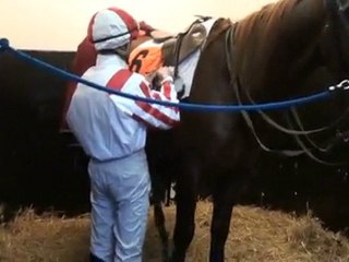 SAPHIR DE MORGE ET A.ABRIVARD SE PREPARANT POUR LA COURSE