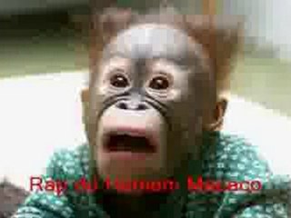 Rap do Homem Macaco (Sem alma e sem coração)