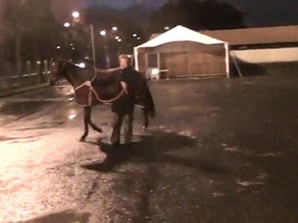 REBELLE ET SAPHIR RENTRANT A LA MAISON