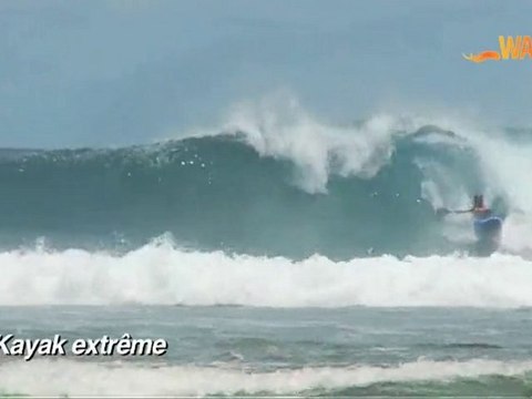 BEST OF WAPALA du mois de Novembre 2010 !