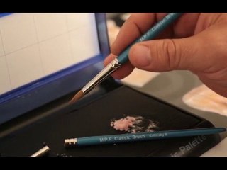 Dental Brushes and Brush Kits