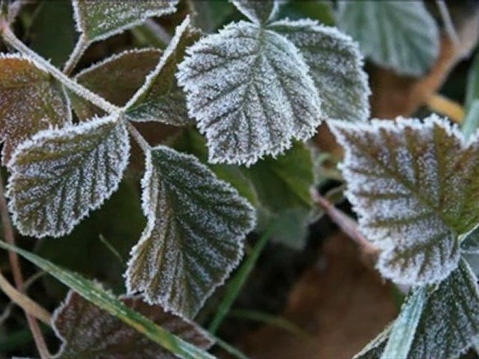 des Images sur les montagnes. Servan