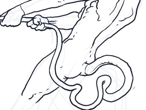 MOEBIUS-TRANSE-FORME - Stel et Atan (La ligne qui danse #4)