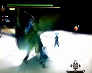 MH3 Qurupeco arena (2 Blacks tigers) 4:11min