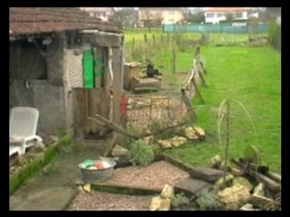 6 mois avec nos chèvres ..