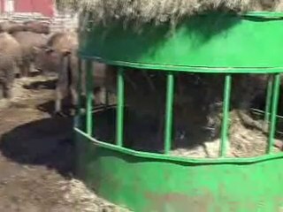 Patent Pending Hay Hopper Buffalo Feeder