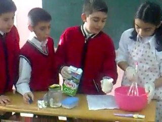 habip özçakır kestel toki 6-b sınıfı grup 3