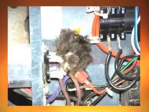Louisville Inspector Reveals Electrical Hazards