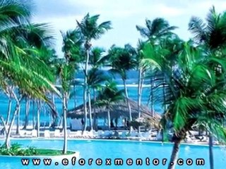 Forex Mentor Peter Bain - The Road To Trading profits