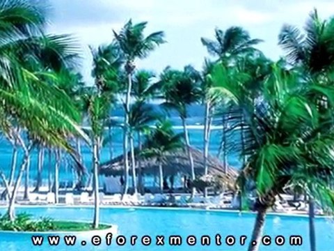 Forex Mentor Peter Bain - The Road To Trading profits