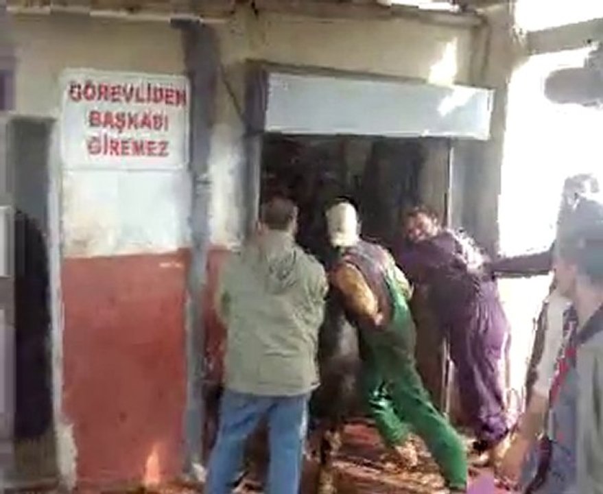 video-2010-11-16-11-59-07
