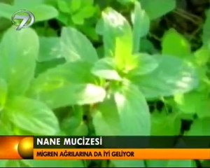 KANAL 7 ANA HABERDE MİGRENSON 25-11-10