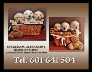 130 Emisja Piatek 26.11.2010 cz 1