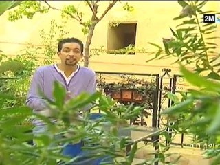 يوميات صنعة بلادي الجيل الجديد : الجمعة 26 نونبر