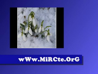 Ali KıNıK - KaRDeLeN