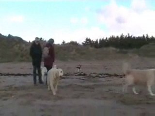 La Barre de Monts - BTC 251110