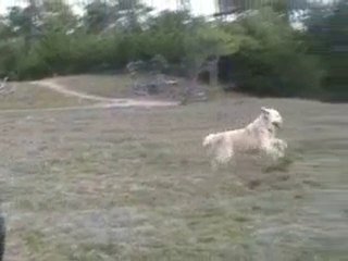 Départ la barre BTC 251110.wmv