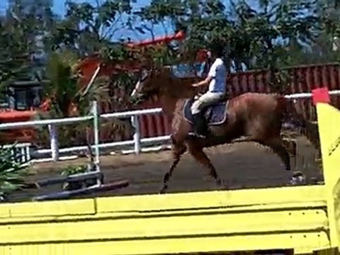 21.11.10 - CSO club EMR - prépa 60 - SophieHoppy