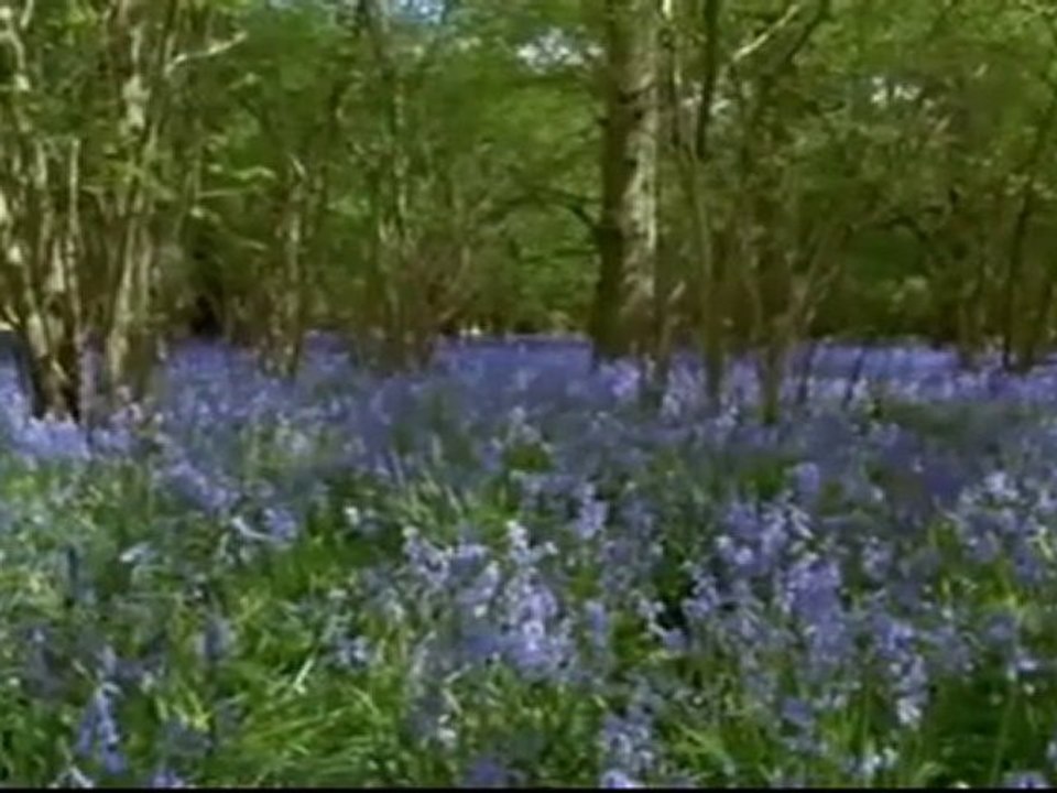 Abdurrahman Önül -Sedat Uçan -Aşkına ilahi izle -islamse.net