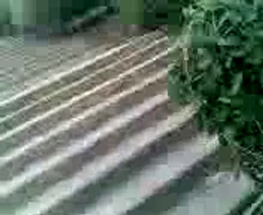 Promenade du 27/11/2010