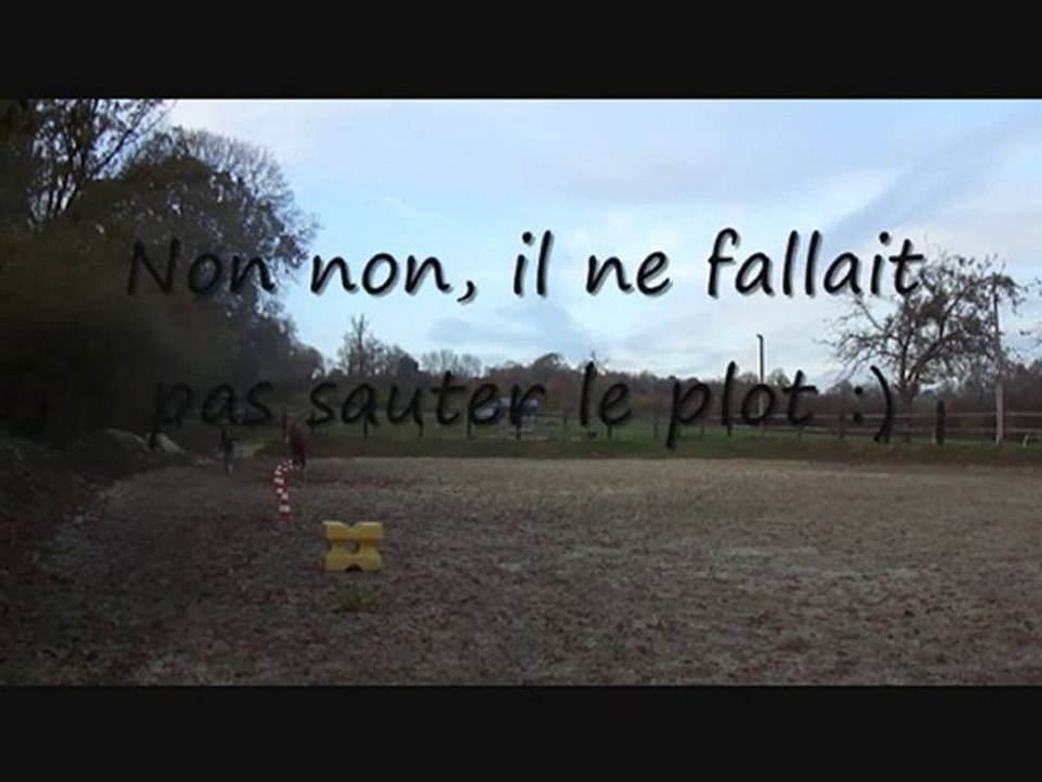 Séance du 21 novembre