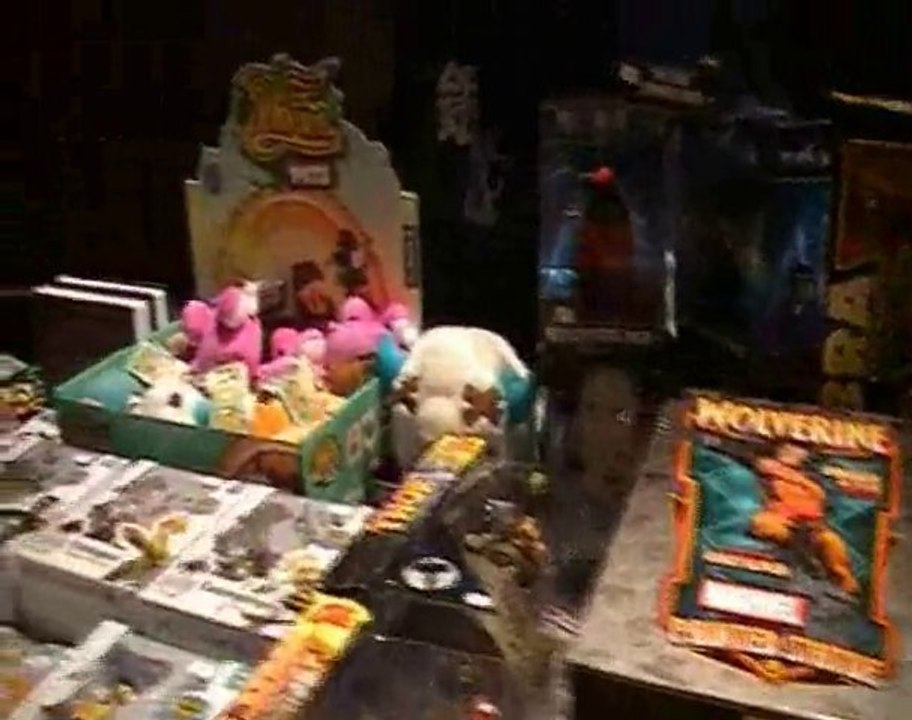 le salon des culture alternative du 21/11/2010