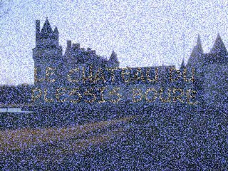 Le Château du Plessis Bourré