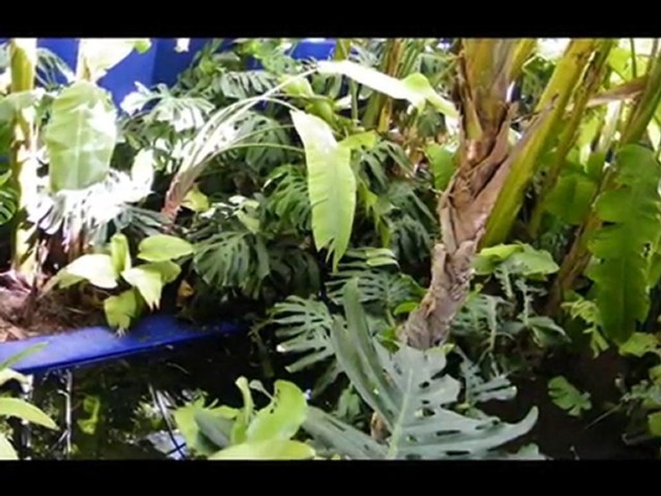 Le Jardin Majorelle à Marrakech