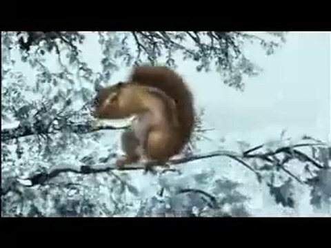 Vive le vent d'hiver!