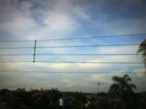 CHANSON SUR DES OISEAUX - Google Vidéos2