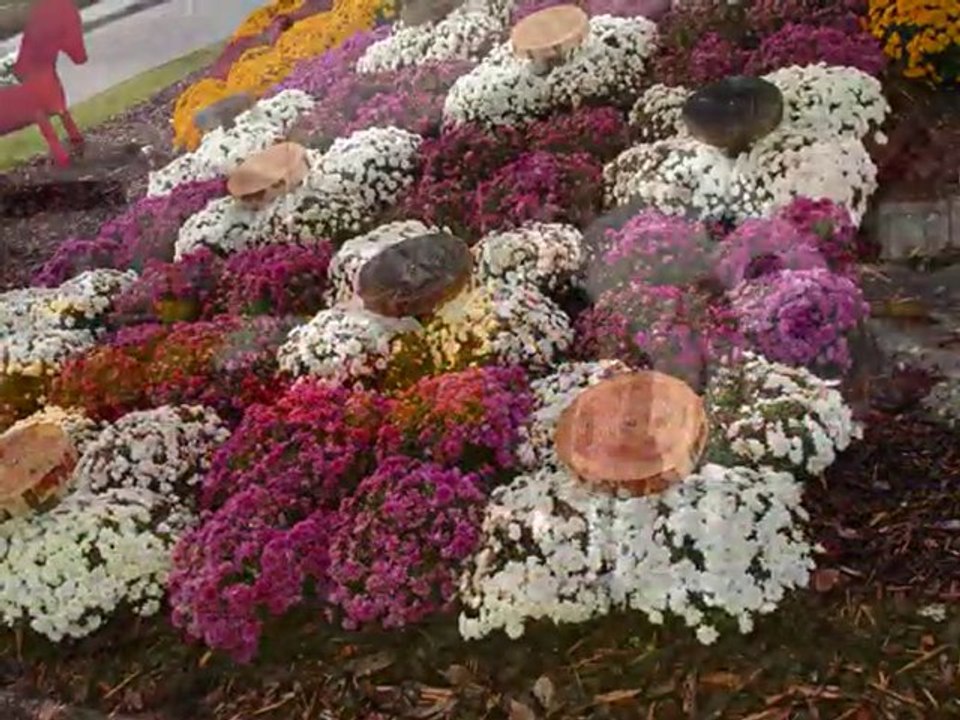 Besancon fleuri 2010