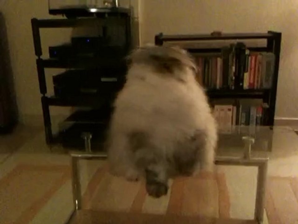 FIDJI DE LONGUA AQUA