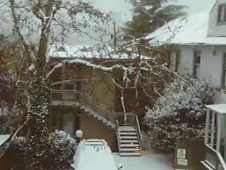 Snowing in Seattle, 22/11/10