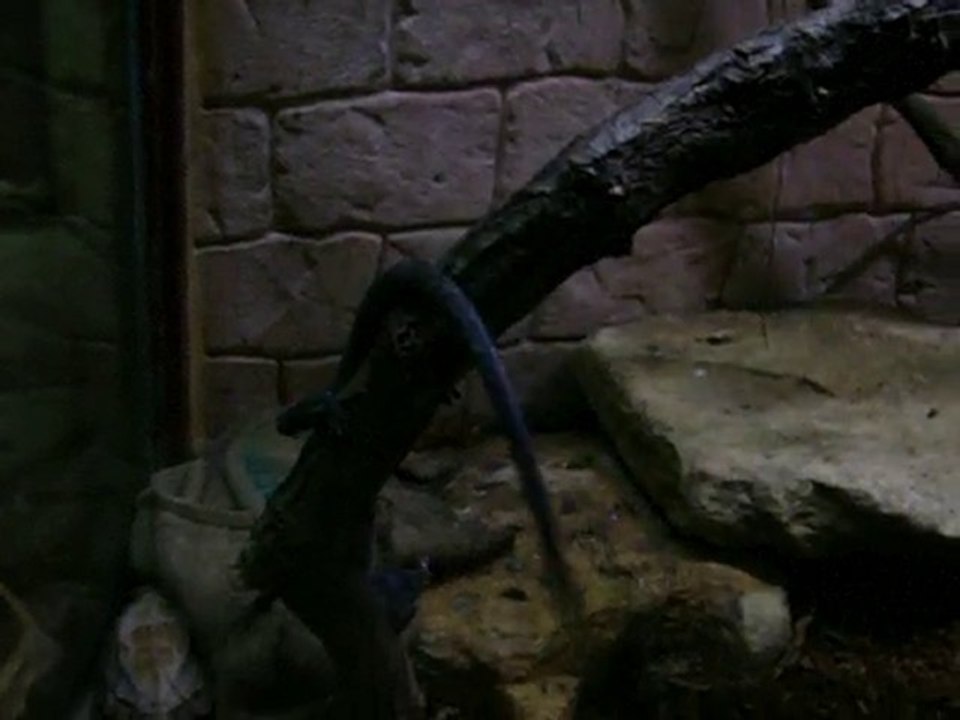 La force tranquille M&F 2010