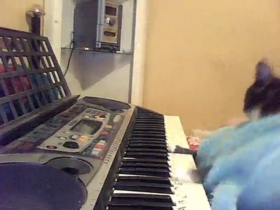 Cat Video of Cat Playing the Piano