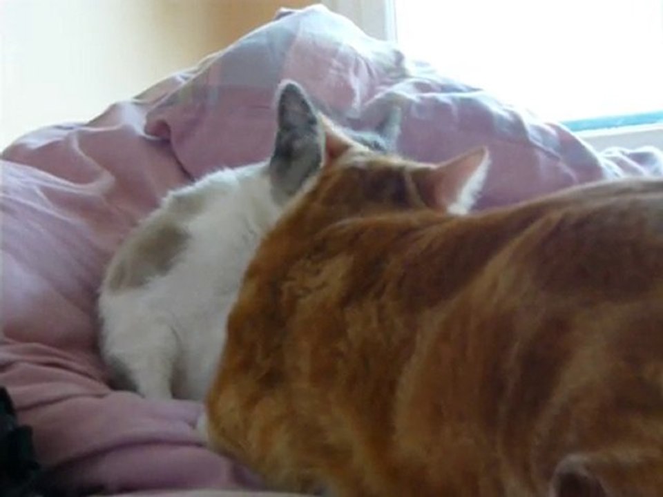 Un instant de tendresse